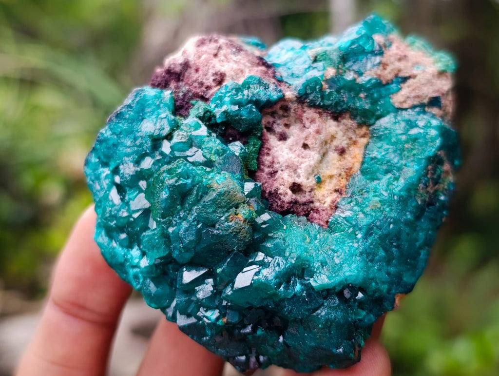 Natural Dioptase on Dolomite Specimens x 6 From Likasi, Congo - Toprock Gemstones and Minerals 