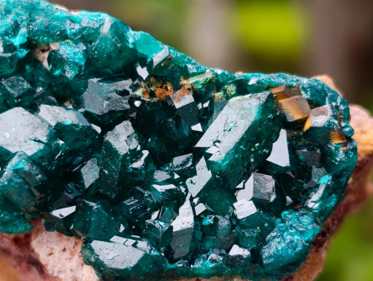 Natural Dioptase on Dolomite Specimens x 6 From Likasi, Congo - Toprock Gemstones and Minerals 