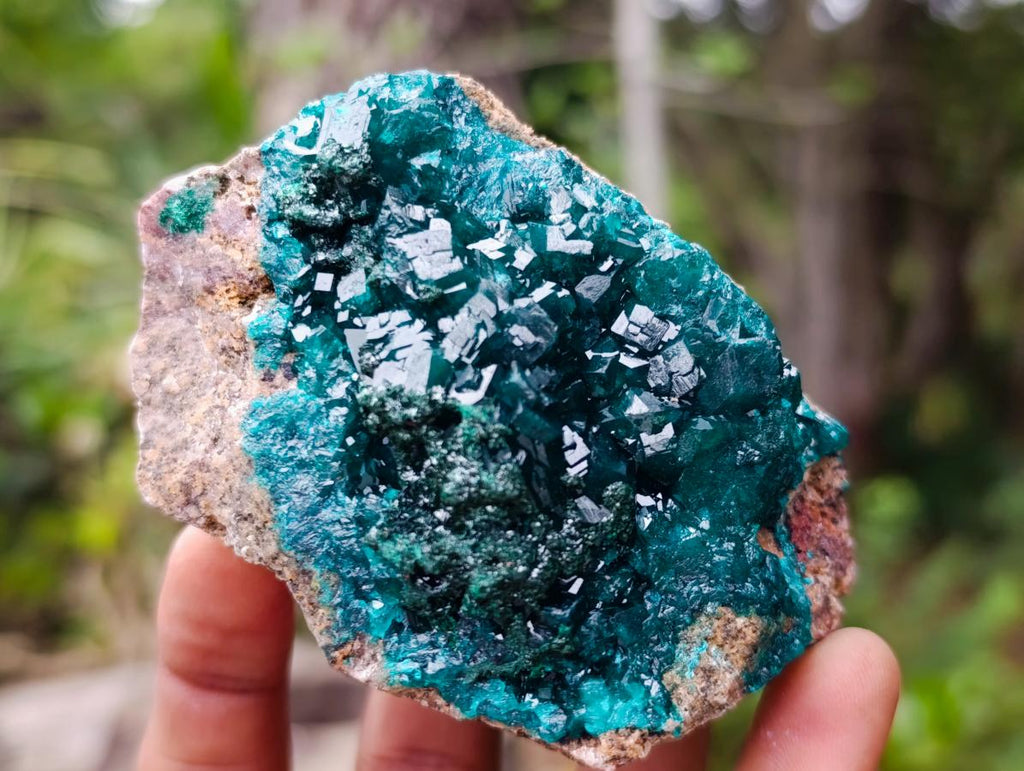 Natural Dioptase on Dolomite Specimens x 6 From Likasi, Congo - Toprock Gemstones and Minerals 