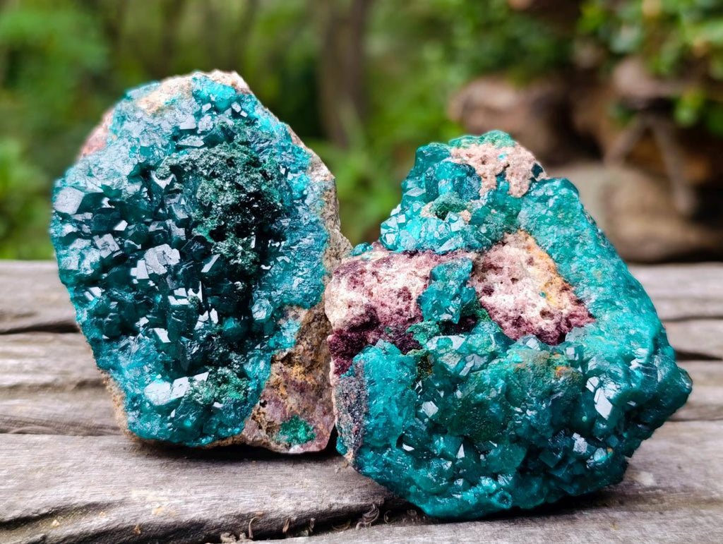 Natural Dioptase on Dolomite Specimens x 6 From Likasi, Congo - Toprock Gemstones and Minerals 
