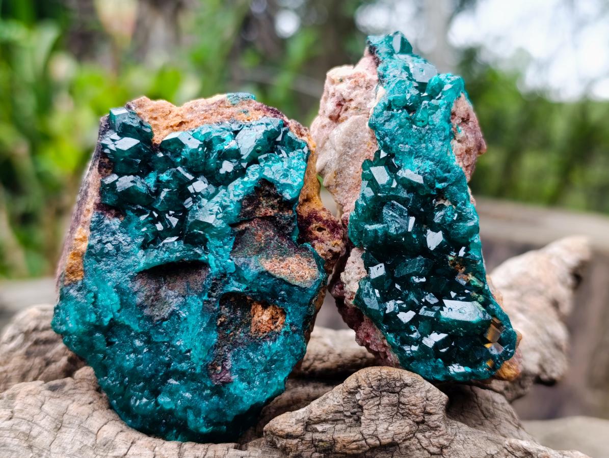 Natural Dioptase on Dolomite Specimens x 6 From Likasi, Congo - Toprock Gemstones and Minerals 