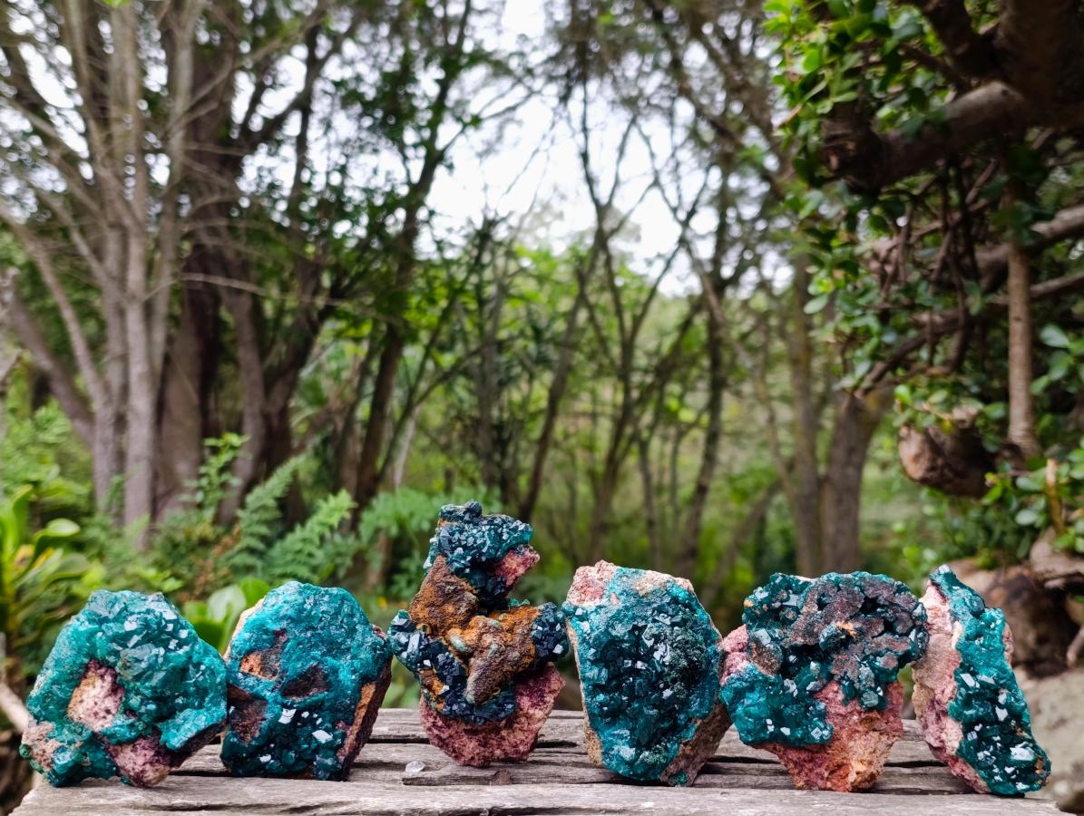 Natural Dioptase on Dolomite Specimens x 6 From Likasi, Congo - Toprock Gemstones and Minerals 