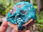 Natural Dioptase on Dolomite Specimens x 6 From Likasi, Congo - Toprock Gemstones and Minerals 