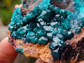 Natural Dioptase on Dolomite Specimens x 6 From Likasi, Congo - Toprock Gemstones and Minerals 