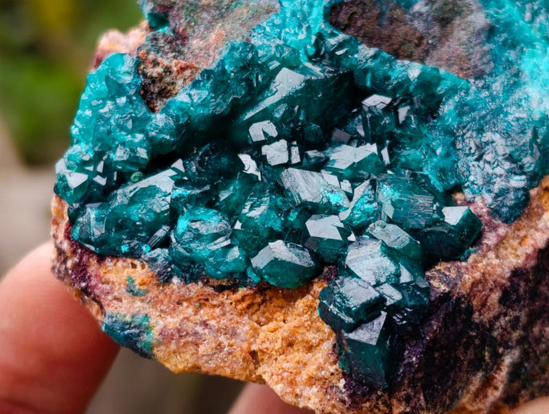 Natural Dioptase on Dolomite Specimens x 6 From Likasi, Congo - Toprock Gemstones and Minerals 