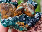Natural Dioptase on Dolomite Specimens x 6 From Likasi, Congo - Toprock Gemstones and Minerals 