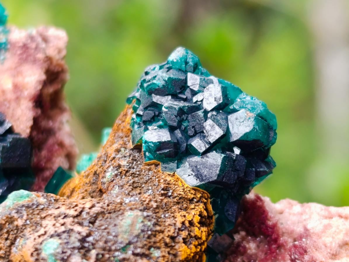Natural Dioptase on Dolomite Specimens x 6 From Likasi, Congo - Toprock Gemstones and Minerals 