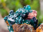 Natural Dioptase on Dolomite Specimens x 6 From Likasi, Congo - Toprock Gemstones and Minerals 
