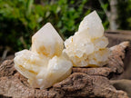 Natural "Love Star" Cascading "Anananas" Candle Quartz Clusters x 14 From Antsirabe, Madagascar - Toprock Gemstones and Minerals 