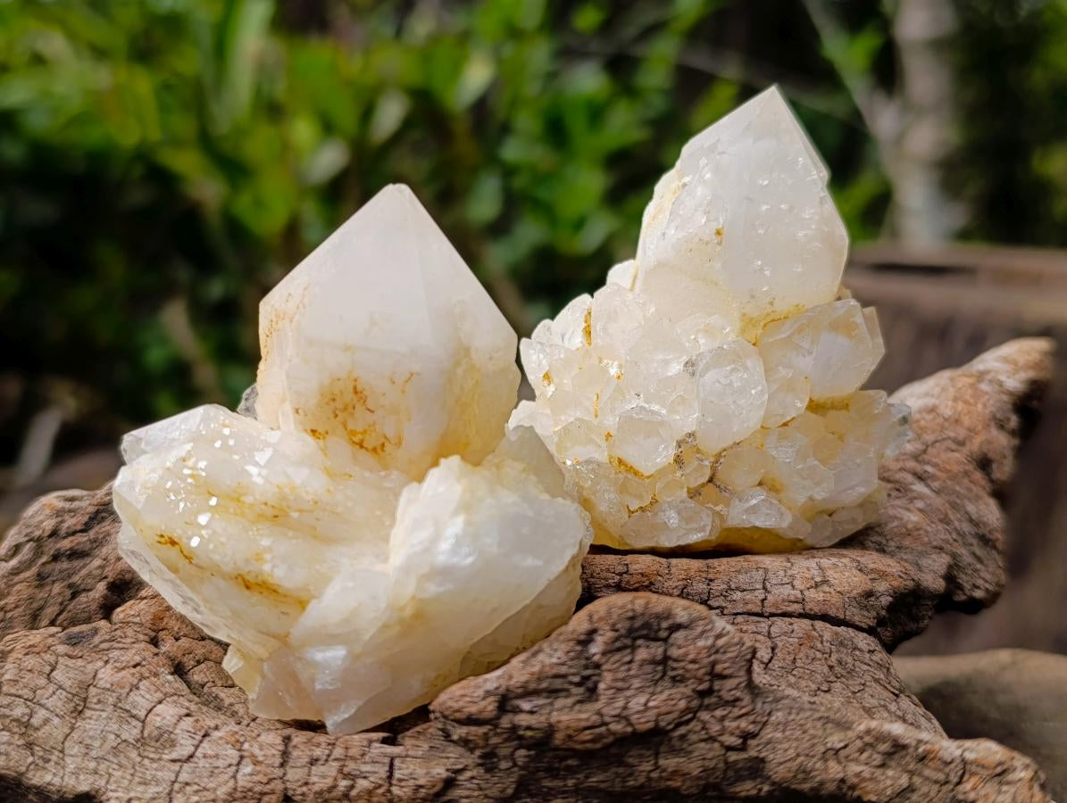 Natural "Love Star" Cascading "Anananas" Candle Quartz Clusters x 14 From Antsirabe, Madagascar - Toprock Gemstones and Minerals 