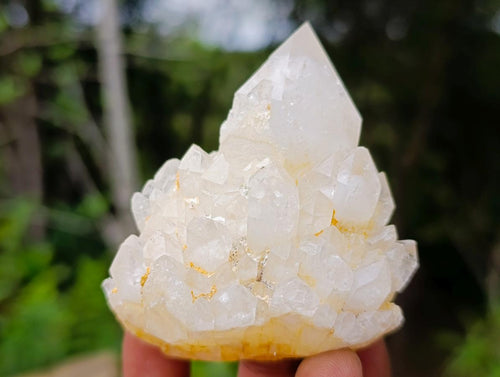 Natural "Love Star" Cascading "Anananas" Candle Quartz Clusters x 14 From Antsirabe, Madagascar - Toprock Gemstones and Minerals 