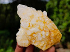 Natural "Love Star" Cascading "Anananas" Candle Quartz Clusters x 14 From Antsirabe, Madagascar - Toprock Gemstones and Minerals 