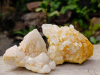 Natural "Love Star" Cascading "Anananas" Candle Quartz Clusters x 14 From Antsirabe, Madagascar - Toprock Gemstones and Minerals 