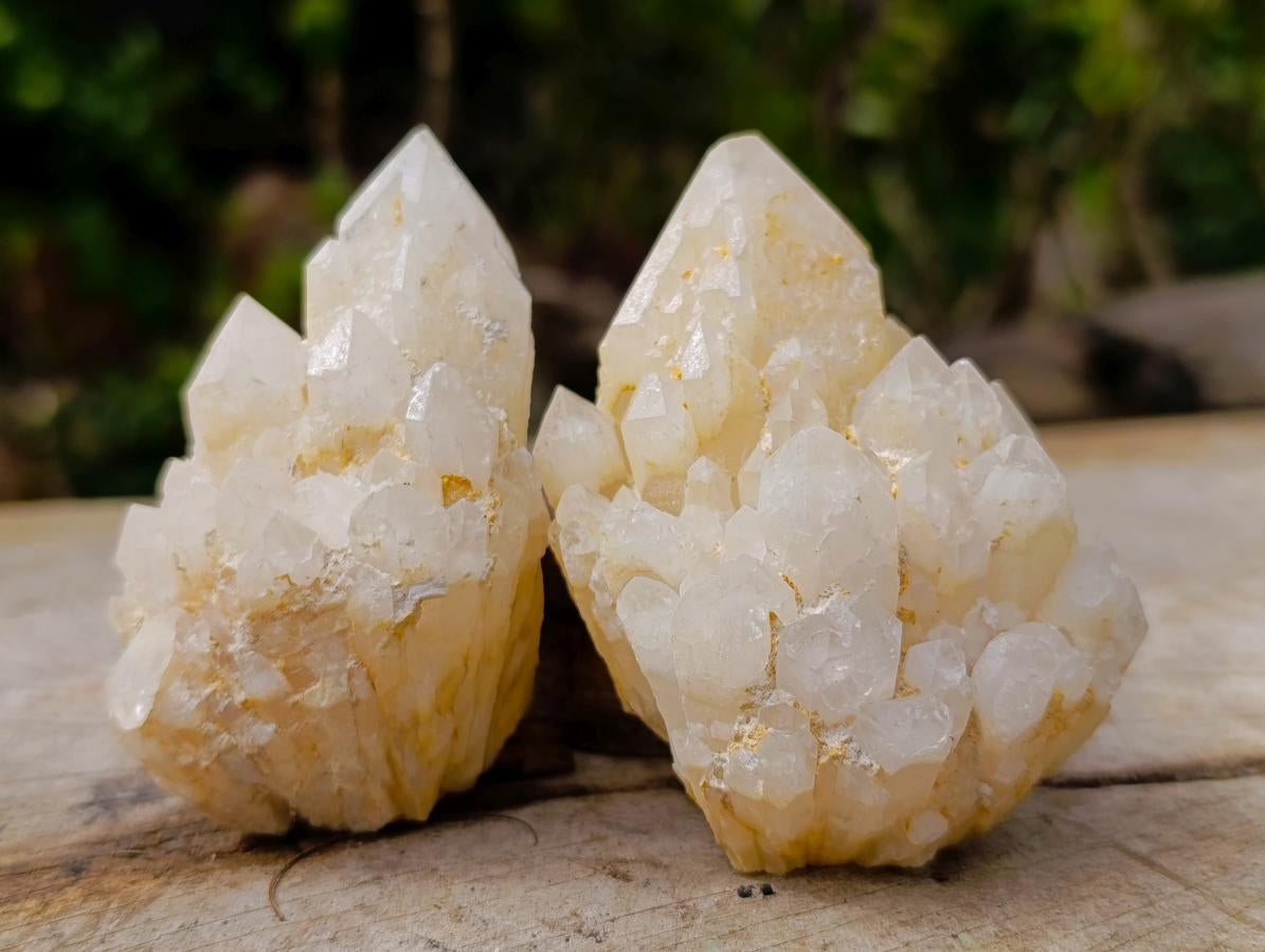 Natural "Love Star" Cascading "Anananas" Candle Quartz Clusters x 14 From Antsirabe, Madagascar - Toprock Gemstones and Minerals 