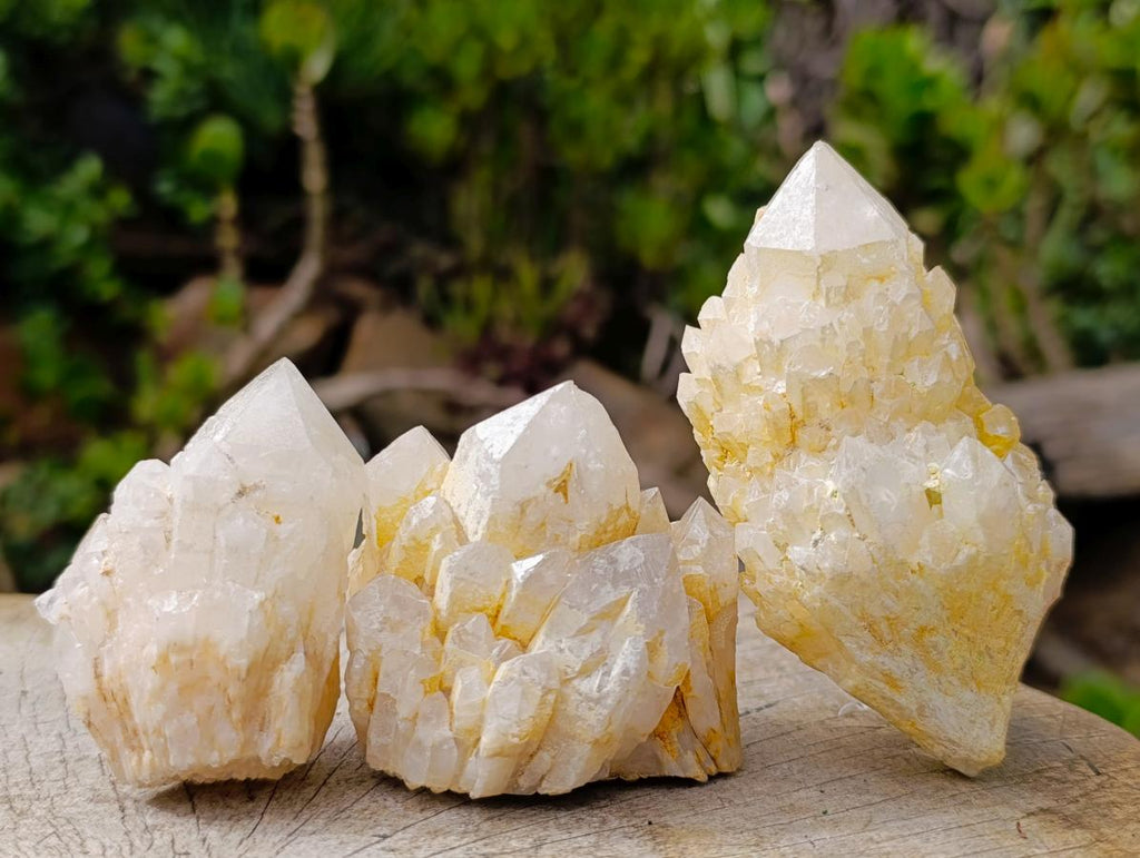 Natural "Love Star" Cascading "Anananas" Candle Quartz Clusters x 14 From Antsirabe, Madagascar - Toprock Gemstones and Minerals 