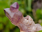 Natural Smokey Window Chiredzi Amethyst Crystals x 24 From Chiredzi, Zimbabwe - Toprock Gemstones and Minerals 