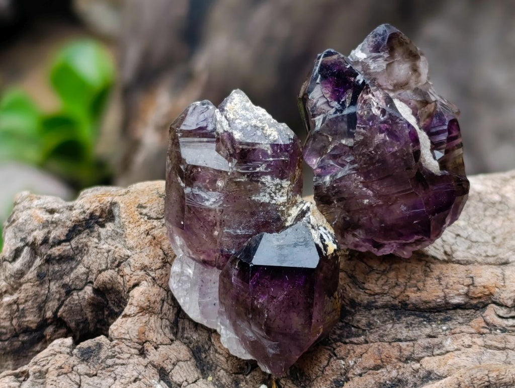 Natural Smokey Window Chiredzi Amethyst Crystals x 24 From Chiredzi, Zimbabwe - Toprock Gemstones and Minerals 