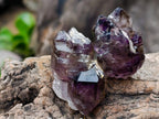 Natural Smokey Window Chiredzi Amethyst Crystals x 24 From Chiredzi, Zimbabwe - Toprock Gemstones and Minerals 