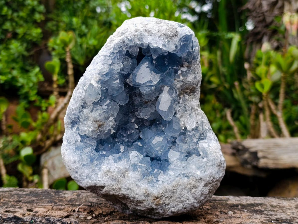 Natural Blue Celestite Geode Cluster Specimen x 1 From Sakoany, Madagascar - Toprock Gemstones and Minerals 