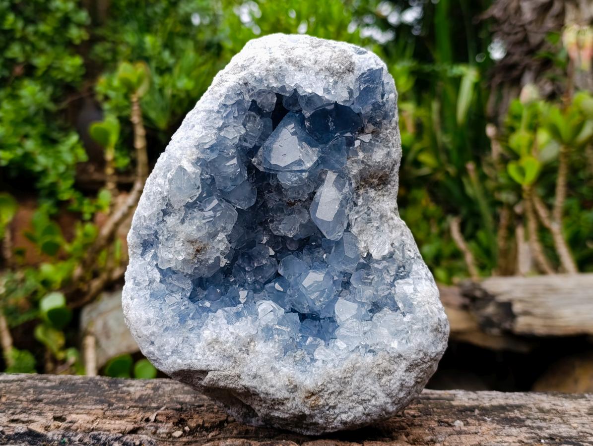 Natural Blue Celestite Geode Cluster Specimen x 1 From Sakoany, Madagascar - Toprock Gemstones and Minerals 