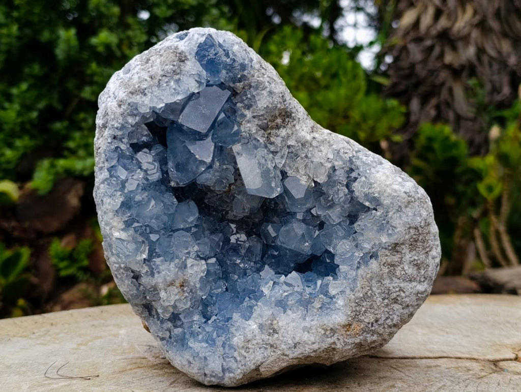 Natural Blue Celestite Geode Cluster Specimen x 1 From Sakoany, Madagascar - Toprock Gemstones and Minerals 