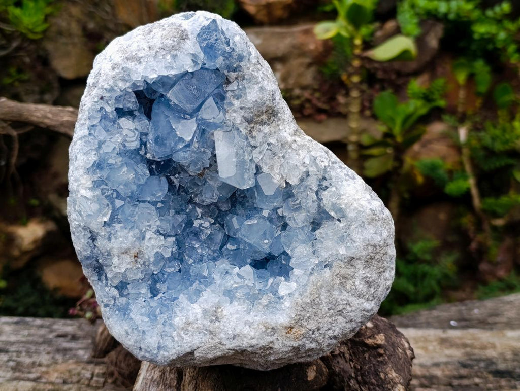 Natural Blue Celestite Geode Cluster Specimen x 1 From Sakoany, Madagascar - Toprock Gemstones and Minerals 