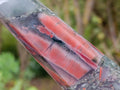 Polished Bloodstone Spheres and Crystal x 3 From Swaziland - Toprock Gemstones and Minerals 