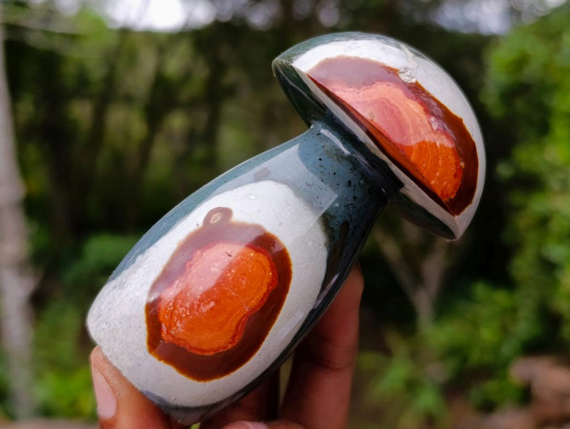 Polished Large Polychrome Jasper Mushrooms x 6 From NW Coast, Madagascar - Toprock Gemstones and Minerals 