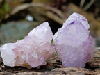 Natural Sunburst Spirit Amethyst Single Crystals x 35 From Boekenhouthoek, South Africa - Toprock Gemstones and Minerals 
