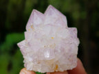 Natural Sunburst Spirit Amethyst Single Crystals x 35 From Boekenhouthoek, South Africa - Toprock Gemstones and Minerals 