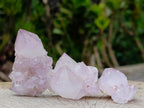 Natural Sunburst Spirit Amethyst Single Crystals x 35 From Boekenhouthoek, South Africa - Toprock Gemstones and Minerals 