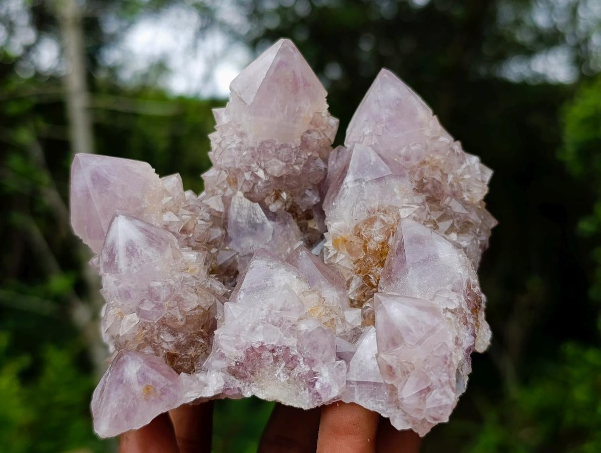 Natural Spirit Amethyst Clusters x 2 From Boekenhouthoek, South Africa - Toprock Gemstones and Minerals 