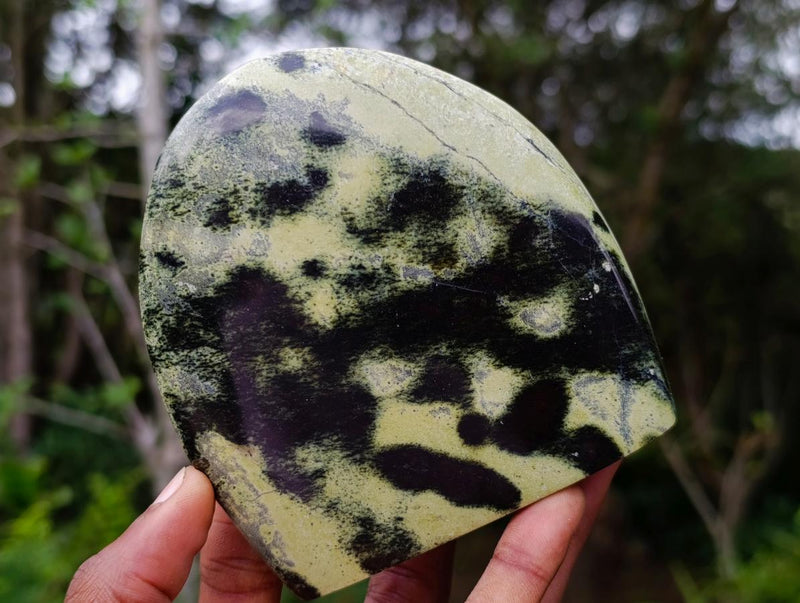 Polished Leopard Stone Standing Display Pieces x 4 From Zimbabwe - Toprock Gemstones and Minerals 