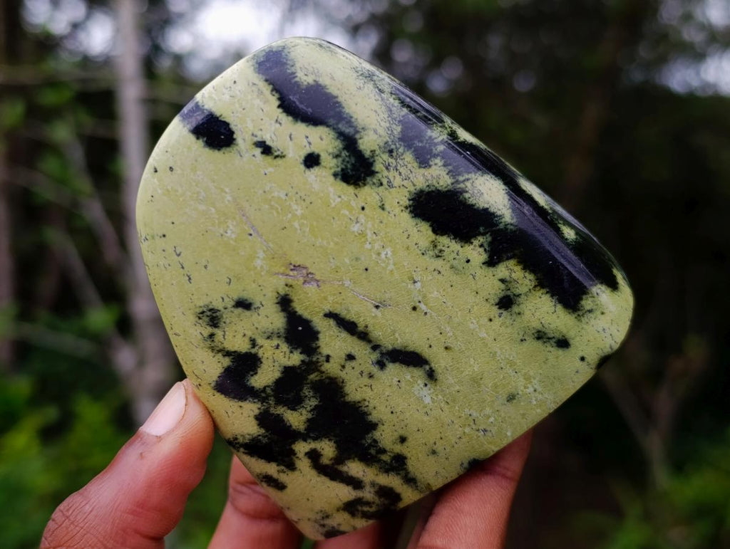 Polished Leopard Stone Standing Display Pieces x 4 From Zimbabwe - Toprock Gemstones and Minerals 