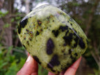 Polished Leopard Stone Standing Display Pieces x 4 From Zimbabwe - Toprock Gemstones and Minerals 
