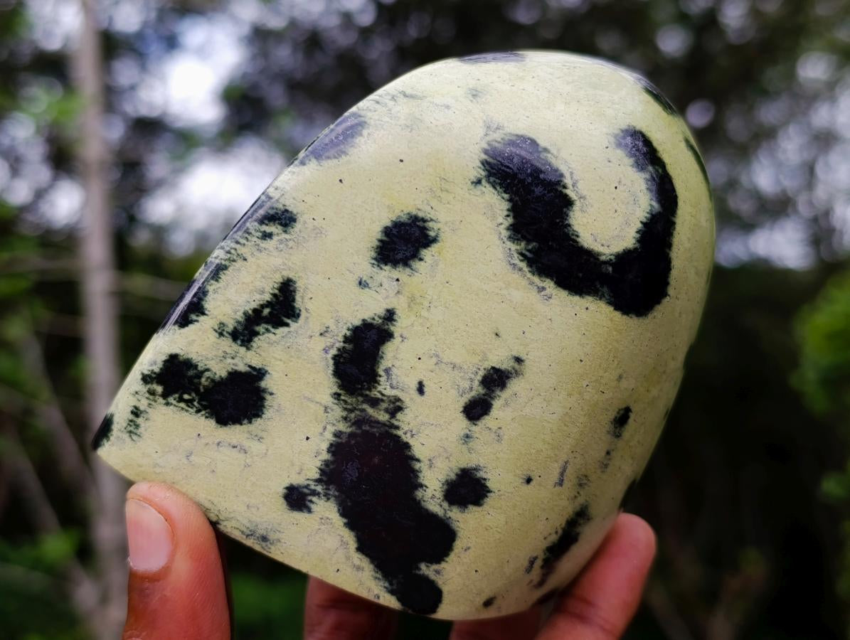 Polished Leopard Stone Standing Display Pieces x 4 From Zimbabwe - Toprock Gemstones and Minerals 