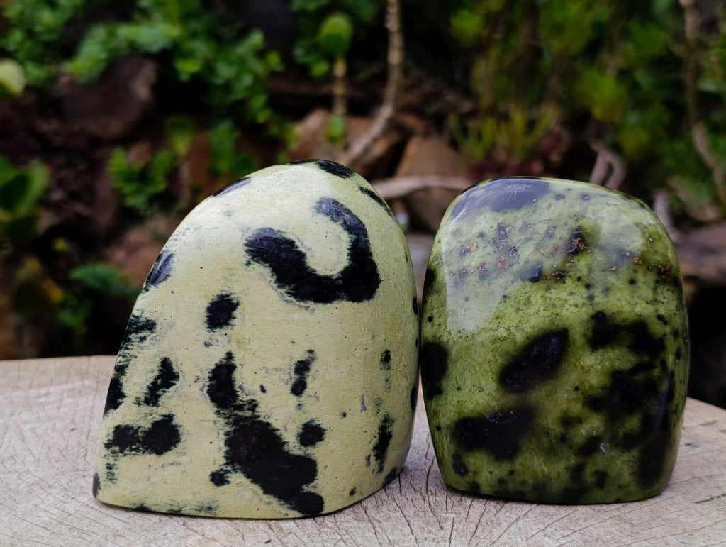 Polished Leopard Stone Standing Display Pieces x 4 From Zimbabwe - Toprock Gemstones and Minerals 
