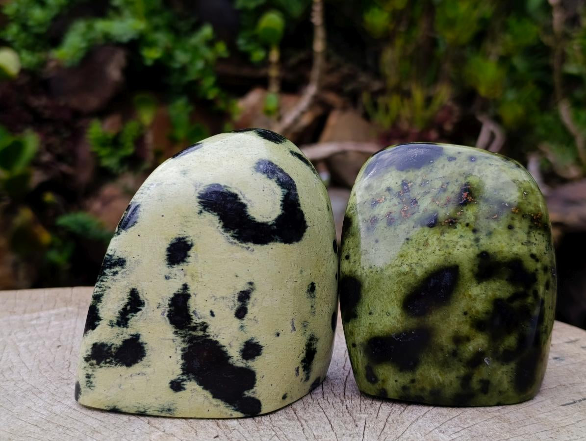 Polished Leopard Stone Standing Display Pieces x 4 From Zimbabwe - Toprock Gemstones and Minerals 