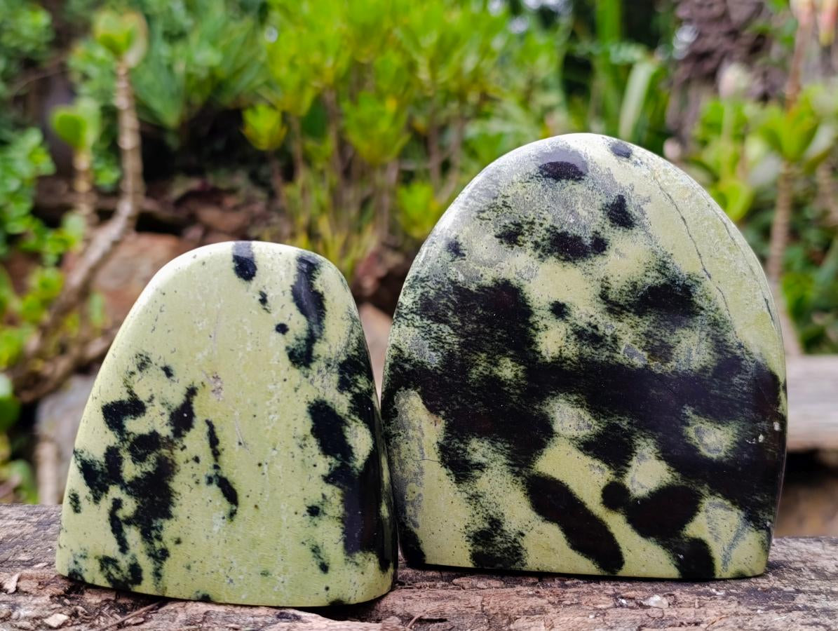 Polished Leopard Stone Standing Display Pieces x 4 From Zimbabwe - Toprock Gemstones and Minerals 