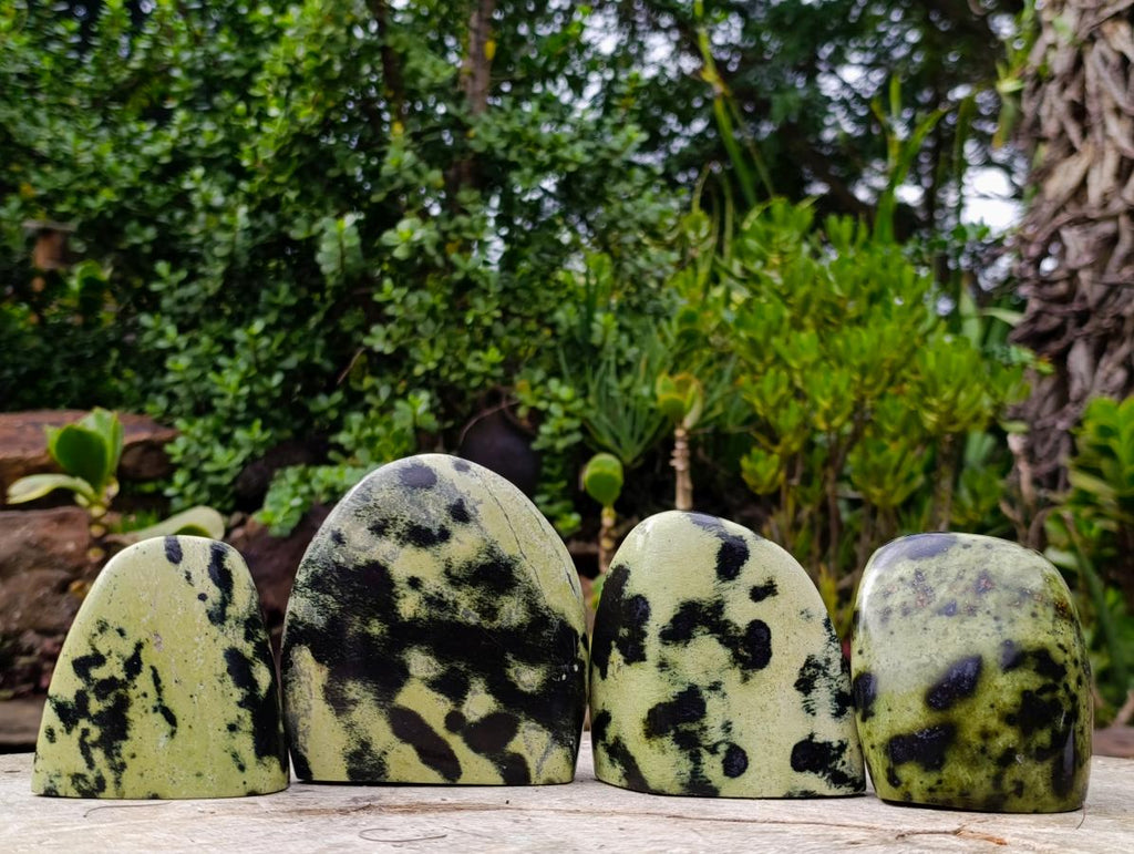 Polished Leopard Stone Standing Display Pieces x 4 From Zimbabwe - Toprock Gemstones and Minerals 