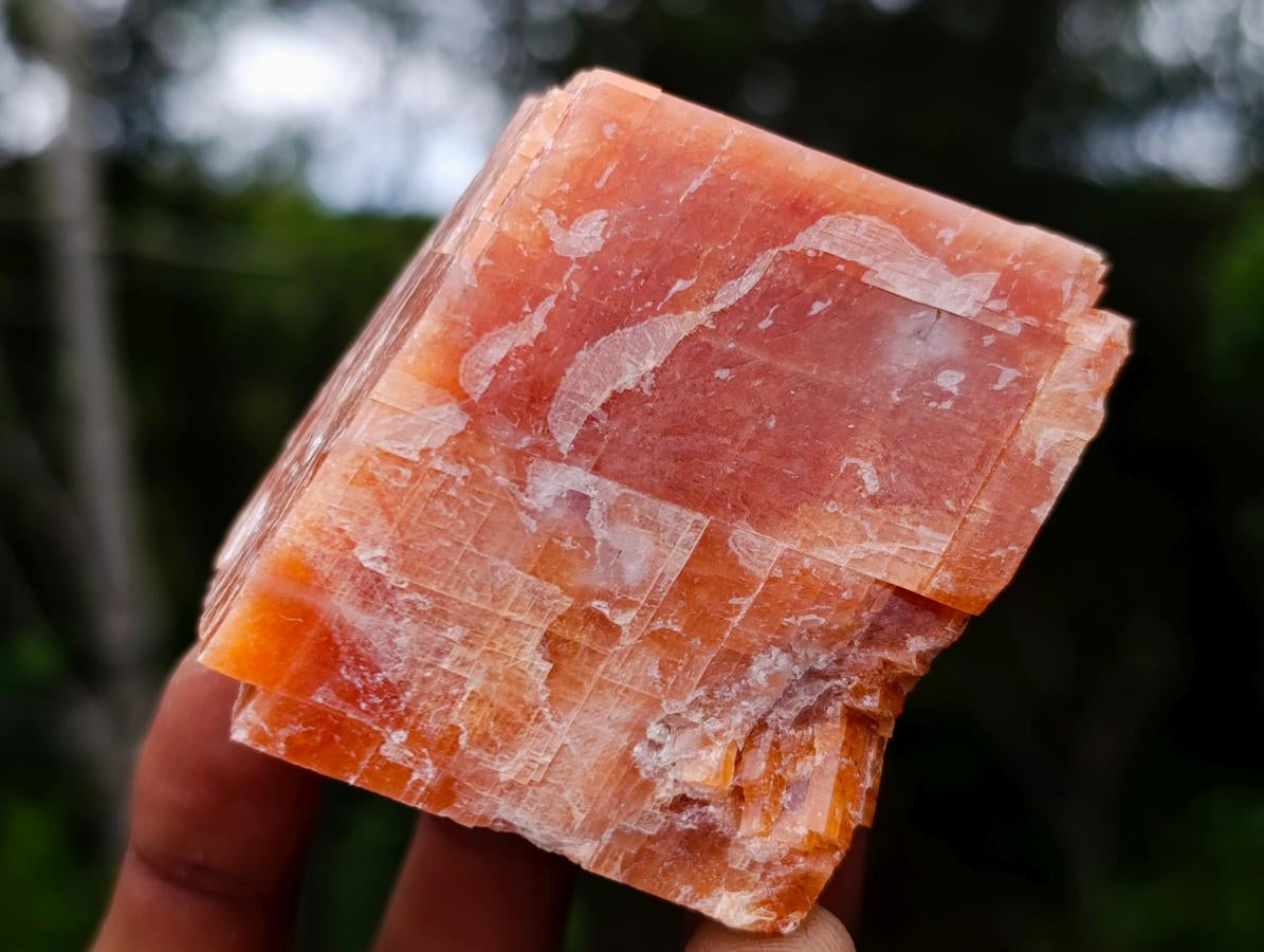 Natural Rhombohedral Sunset Orange Calcite Specimens x 6 From Spitzkop, Namibia - Toprock Gemstones and Minerals 