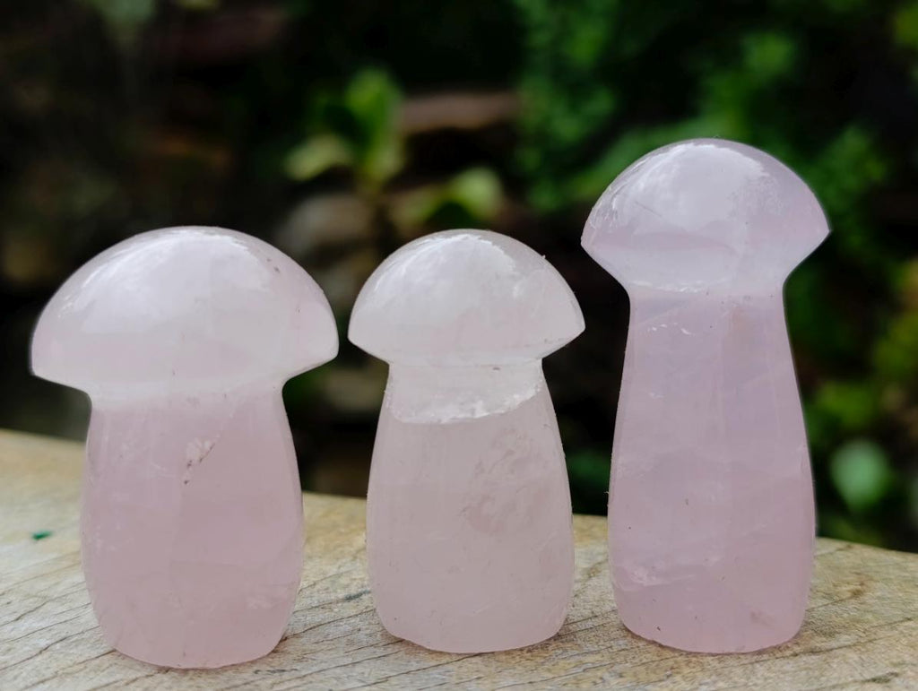 Polished Gemmy Rose Quartz Minni Mushrooms x 20 From Madagascar - Toprock Gemstones and Minerals 