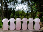 Polished Gemmy Rose Quartz Minni Mushrooms x 20 From Madagascar - Toprock Gemstones and Minerals 