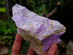 Natural Cobbed Stichtite Specimens x 12 From Barberton, South Africa - Toprock Gemstones and Minerals 