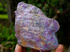 Natural Cobbed Stichtite Specimens x 12 From Barberton, South Africa - Toprock Gemstones and Minerals 
