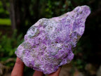 Natural Cobbed Stichtite Specimens x 12 From Barberton, South Africa - Toprock Gemstones and Minerals 