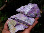 Natural Cobbed Stichtite Specimens x 12 From Barberton, South Africa - Toprock Gemstones and Minerals 