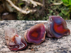 Polished One Side Red Shashe River Agate Nodules x 35 From Shashe River, Zimbabwe - Toprock Gemstones and Minerals 
