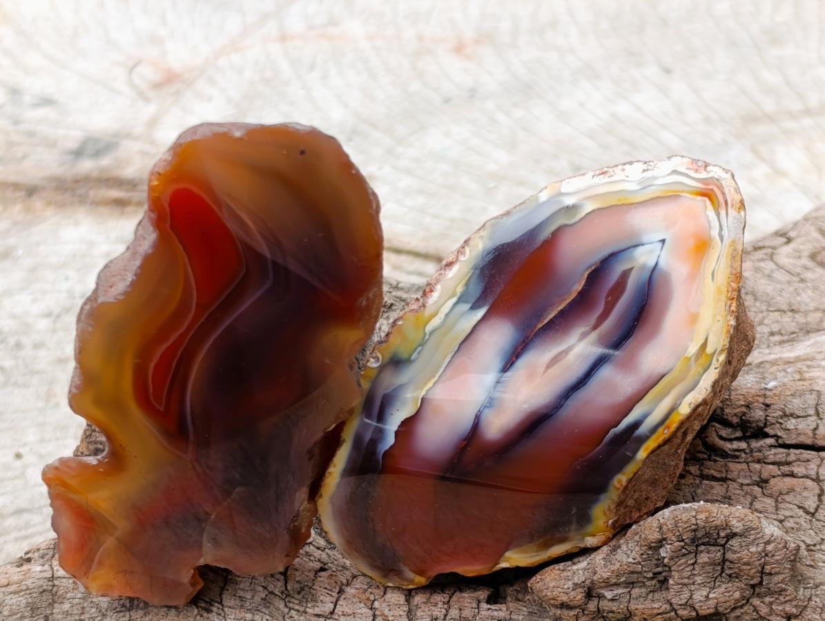 Polished One Side Red Shashe River Agate Nodules x 35 From Shashe River, Zimbabwe - Toprock Gemstones and Minerals 