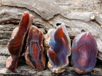 Polished One Side Red Shashe River Agate Nodules x 35 From Shashe River, Zimbabwe - Toprock Gemstones and Minerals 